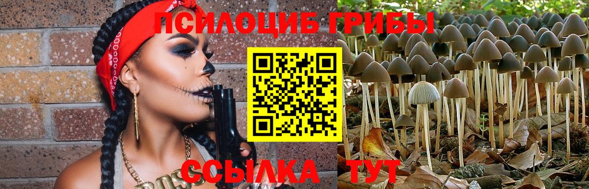 Псилоцибиновые грибы мухоморы  Галлюциногенные грибы Magic Shrooms  Свободный  Вход с VPN 