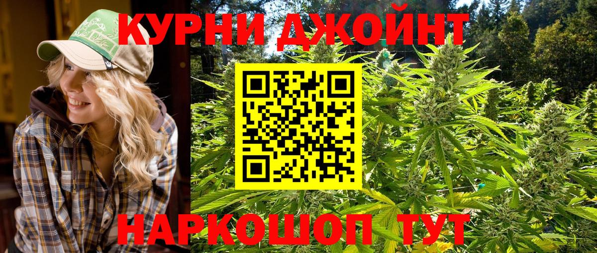 Канабис сатива Свободный